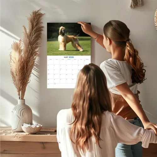 Vista 2 de Calendario de Lebrel Afgano 2025 2026, calendario mensual de pared de raza canina, 12" x 18" abierto, papel grueso sin traspaso, ideal para regalo