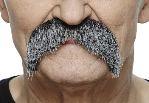 Vista 7 de Mustaches Bigotes falsos autoadhesivos, original, estilo morsa, M