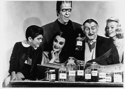 Vista 6 de The Munsters The Complete Series DVD
