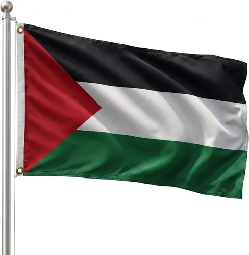Vista 115 de DMSE - Bandera nacional beninesa beninesa de la República de África Occidental, 2 x 3 pies, 100 % poliéster, 100 % poliéster, resistente a los rayos