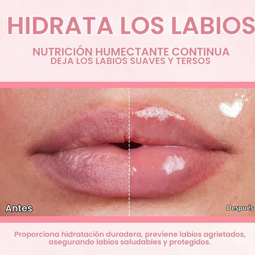 Vista 7 de 6 piezas de set de aceite de brillo de labios, aceite de brillo de labios hidratante mini, set de lipoil de brillo de labios para mujeres, niñas