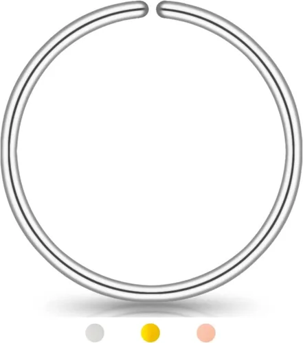 Vista 80 de LUCKYJEWUS Small Thin Gold or Sterling Silver Nose Ring Hoop for Women, Tiny Nose Piercing jewelry