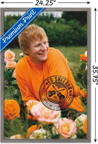 Vista 3 de Trends International Ed Sheeran - Póster de pared de campo de rosas, 22.37 x 34.00 pulgadas, versión enmarcada de madera de granero