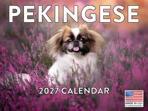 Vista 50 de Calendario mensual de pared Airedale Terrier Dog 2027