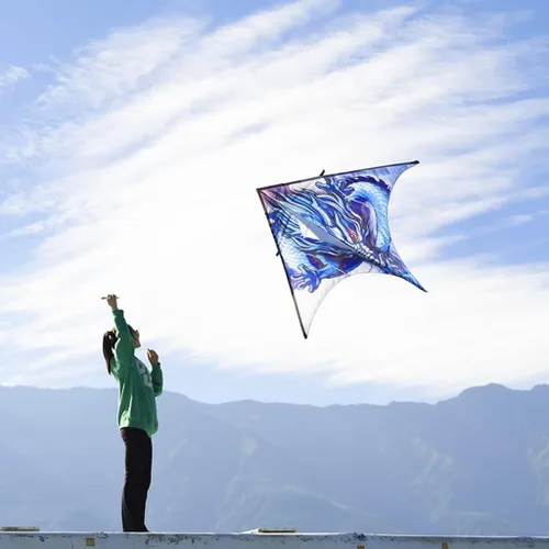 Vista 4 de Kites - Cometa gigante de playa para adultos, muy fácil de volar, adecuada para niños y adultos, para la playa/fiesta de kite/campo/parque