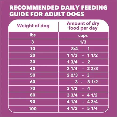 Vista 9 de IAMS Proactive Health Healthy Aging - Comida seca para perros con pollo y granos integrales, bolsa de 5 libras
