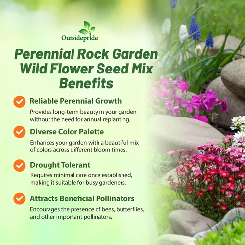 Vista 3 de Outsidepride Perennial Rock Garden - Mezcla de semillas de flores silvestres, 5000 piezas, fácil de cultivar, tolerante a la sequía, mezcla colorida