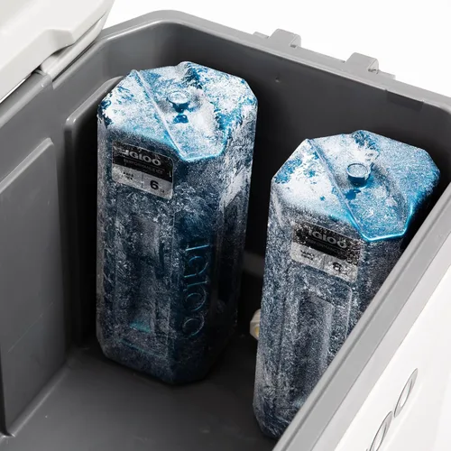 Vista 6 de Igloo Performance Ice Block
