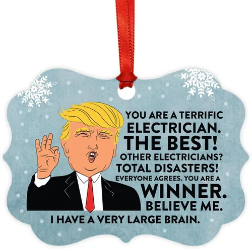 Vista 140 de Andaz Press Presidente Donald Trump Fancy Frame Recuerdo Adorno de Navidad Regalo de broma, excelente contador, 1 paquete, divertidas ideas