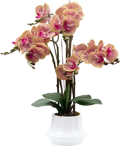 Vista 20 de CXGS Planta de orquídeas artificiales de 20.9 pulgadas, orquídeas artificiales de tacto real en jarrón de cerámica, arreglo floral de Phalaenopsis