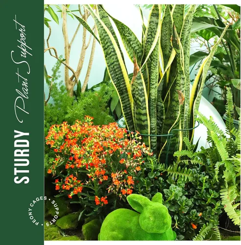 Vista 5 de LEOBRO Estacas de soporte para plantas, 4 estacas para plantas, soporte para plantas, jaulas y soportes de peonía, estacas de jardín, estacas