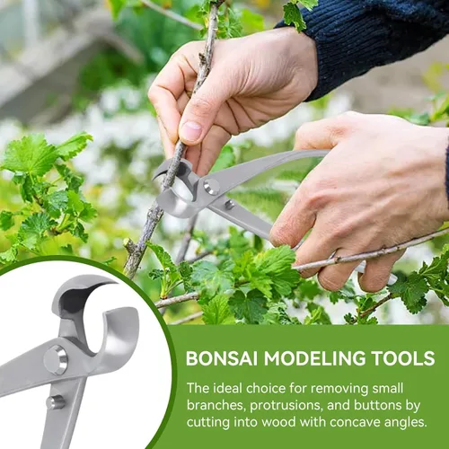 Vista 5 de Bonsái Tools - Cortador cóncavo de 7.087 in BonsaiCutters Cortador de ramas Bonsái Tijera de árbol podadora BonsaiTrimmer Herramientas de jardinería