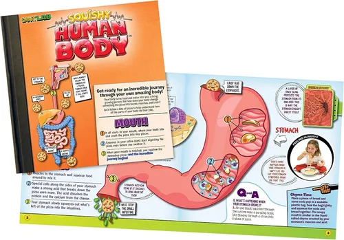 Vista 4 de SMARTLAB Toys Cuerpo humano blando con 21 partes removibles y libro de anatomía