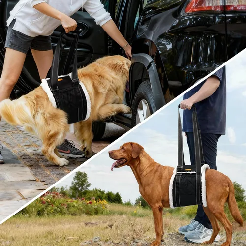 Vista 3 de LumoLeaf Arnés de elevación para perros para patas traseras, soporte ajustable para piernas traseras y ayuda de movilidad, soporte de cadera