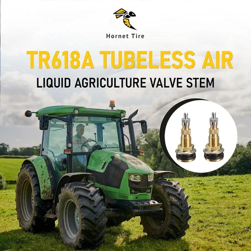 Vista 2 de Vástago de válvula de agricultura líquida de aire sin cámara TR618A (2)