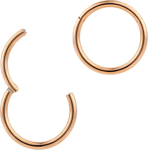 Vista 11 de 2pcs Titanium Hinged Hoops Segment Septum Nose Rings Sleeper Earrings Negro