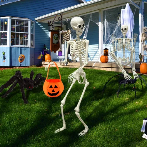 Vista 2 de CAMIRUS Esqueleto de Halloween de 5.4 pies/65.0 in, esqueleto de tamaño real con bolsa de calabaza de araña peluda, huesos humanos de cuerpo