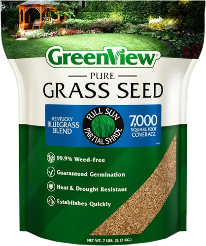 Vista 9 de GreenView Pure Grass Seed Kentucky Bluegrass Blend, bolsa de 3 libras Fill bare spots fast, bluegrass seed for sun and light shade, overseeding