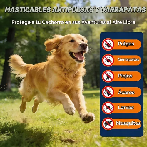 Vista 3 de 180 unidades, B0GTPF6JJR para perros masticables, B0GTPF6JJR