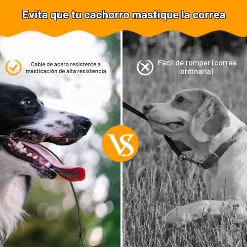 Vista 4 de Correa retráctil para perros de 26 pies con cable a prueba