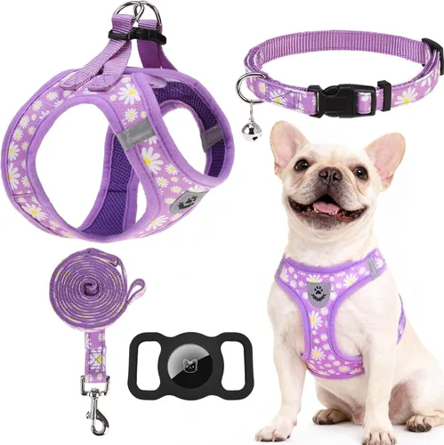 Vista 20 de Arnés para cachorros de otoño de Acción de Gracias - Collar y correa para perro - Arnés de chaleco para perros pequeños de malla suave acolchada