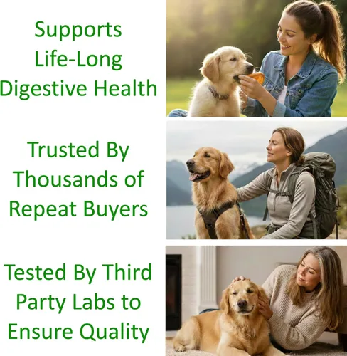 Vista 7 de TummyWorks Probióticos para perros. 120 probióticos masticables suaves para salud digestiva, intestino, inmunidad, energía, alergias, piel y pelaje.