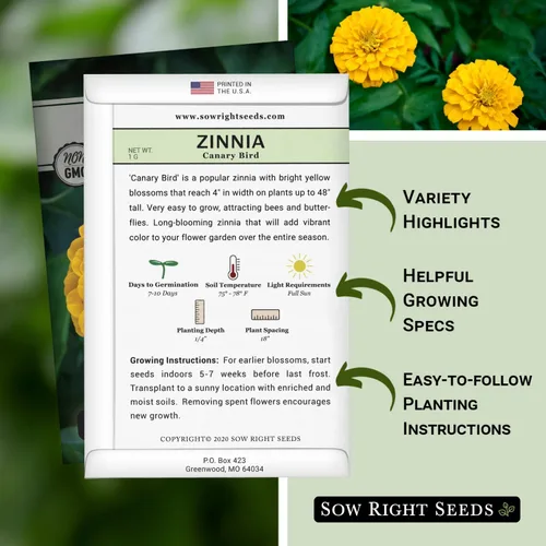 Vista 2 de Sow Right Seeds - Semillas de zinnia de ave canaria para plantar - Paquete de reliquia sin OMG para plantar y cultivar - Flores anuales amarillas