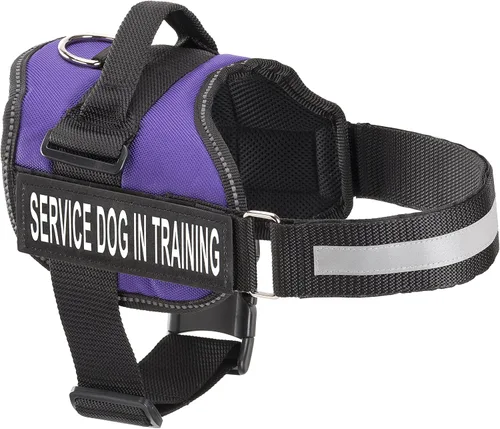 Vista 12 de Industrial Puppy Arnés de chaleco de entrenamiento para perro de servicio, XXXS 11.5-13 pulgadas, rojo Rojo Brillante