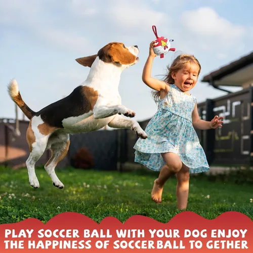 Vista 5 de QDAN Pelotas de juguete para perros: Pelota de fútbol para entrenamiento de mascotas con correas - Pelota para cachorros, extra pequeña, pelotas