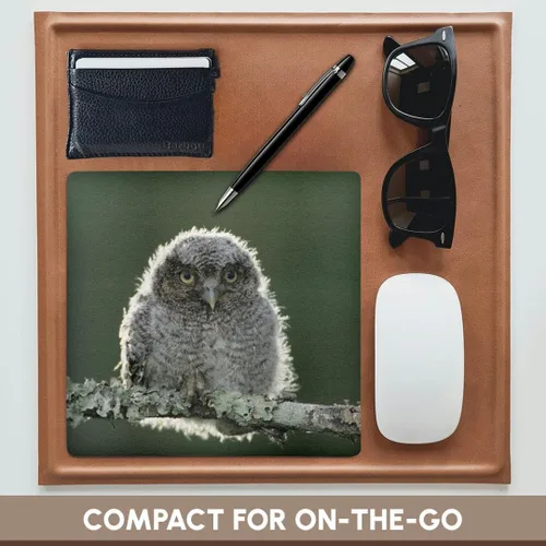 Vista 4 de 3dRose LLC 8 x 8 x 0.25 inches Mouse Pad, Eastern screech-owl, Rio Grande Valley, Texas, Rolf Nussbaumer