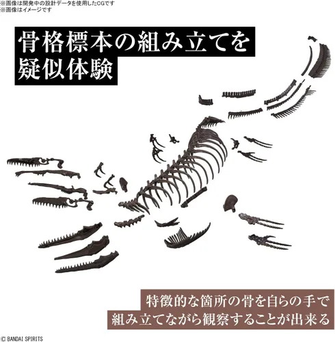 Vista 5 de Bandai Hobby Mosasaurus Imaginary Skeleton 1/32 Dinosaur Model Kit