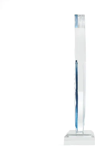 Vista 2 de Awards Trofeo de Acrílico Grabado con Forma de Elipse Puntiaguda de 9" Azul y Blanco - para Empleados - Grabado Personalizado