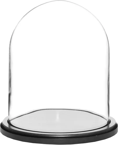 Vista 3 de Plymor Cúpula de cristal de 8" x 10.25" (base de chapa de nogal)