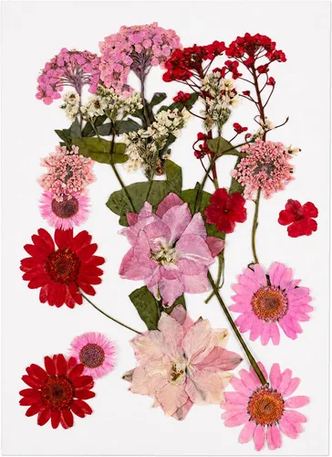 Vista 18 de 40 piezas de flores prensadas secas rosas para resina 40 unidades rosa