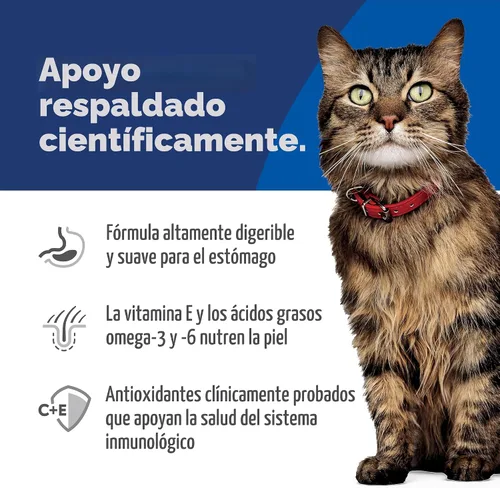 Vista 5 de Hill's Science Diet - Alimento seco para gatos con estómago y piel sensible