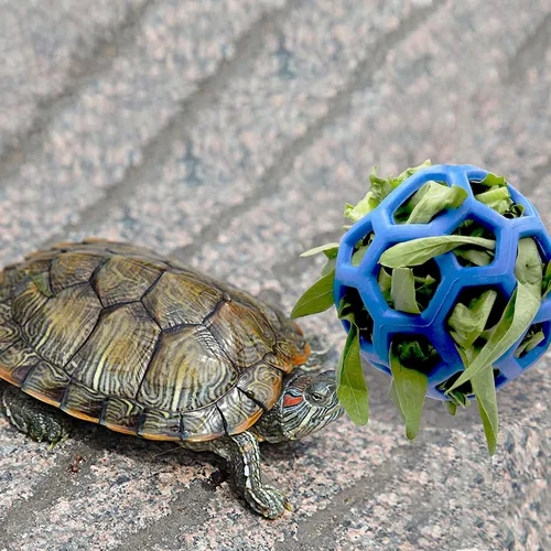 Vista 3 de Tirifer Bola alimentadora de tortuga, 5.5 pulgadas, fomenta los comportamientos de alimento, mantiene a las mascotas entretenidas