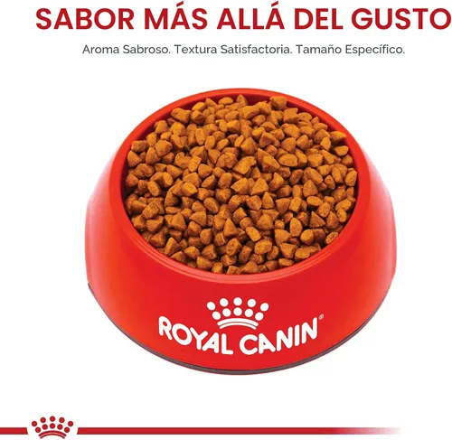 Vista 7 de De Royal Canin, Size Health Nutrition, comida seca para cachorros extra pequeños, comida para perros Specialized Nutrition for Extra Small Breeds
