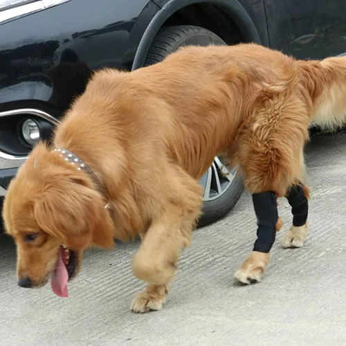 Vista 7 de Coderas para perro, cómoda funda elástica ajustable para patas de perro para dejar de lamer, manga protectora de recuperación para perro, soportes
