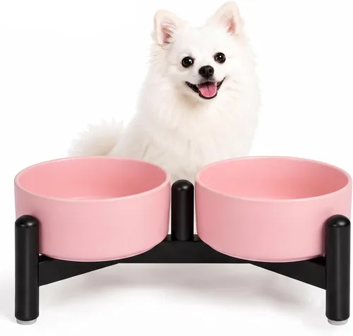 Vista 20 de Juego de cuencos elevados de cerámica para perros con soporte, 2 tazas de Negro