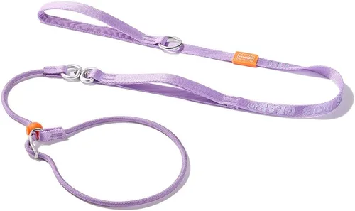 Vista 31 de HowGo Correa antideslizante para perro con 2 tapones con resorte