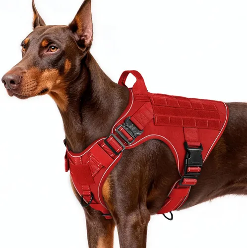 Vista 10 de rabbitgoo - Arnés táctico para perros pequeños, arnés resistente para mascotas con asa, chaleco de servicio sin tirones para razas pequeñas, chaleco