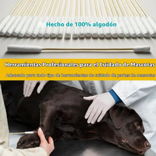 Vista 5 de 100 hisopos de algodón de 6 pulgadas de largo en caja, hisopos de algodón grandes profesionales con mango de bambú, hisopos de doble cara para Doble