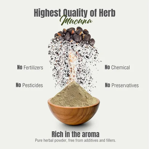 Vista 6 de Herbsforever Mucuna Pruriens Semilla en polvo 2X Extracto de potencia (2:1) Mezcla de semillas moradas y amarillas, grano de terciopelo, sin OMG