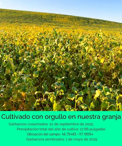 Vista 3 de Bolsa de garbanzos, proyecto verificado sin OGM 100% sin irradiadiar Certificado Kosher Parve cultivado en EE.UU. Con rastreo de campo
