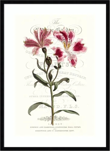Vista 19 de Amanti Art Vision Studio - Lienzo decorativo para pared, 24 x 18 pulgadas, varietales de jardín de flores, arte de pared de flores, decoración