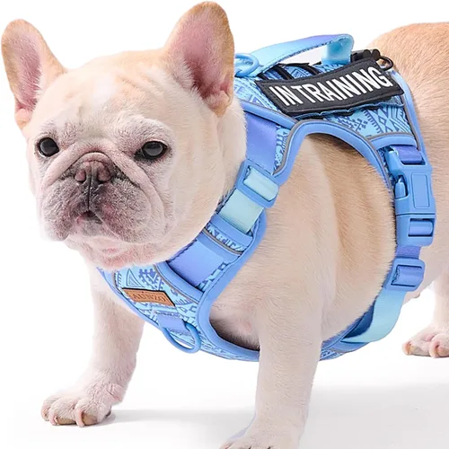 Vista 12 de Arnés para perro sin tirones para perros de tamaño pequeño, chaleco ajustable para caminar fácilmente, material Oxford transpirable, tiras Verde