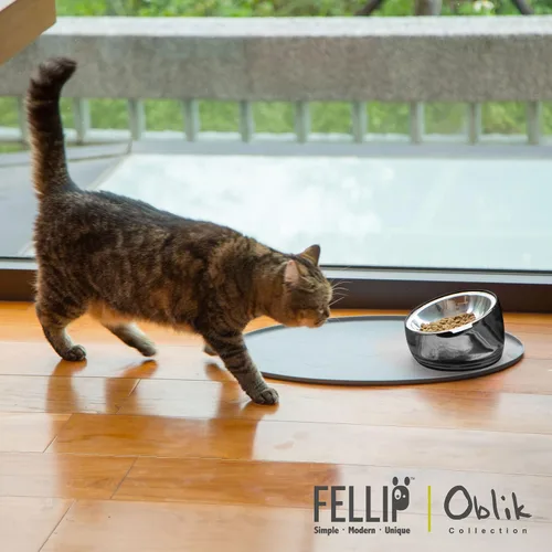 Vista 7 de Felli Pet Cuenco para Comida de Gato Oblik Fatiga de Bigotes Plato Elevado de Acero Inoxidable Poco Profundo, Diseño Apto para Mascotas Comedero