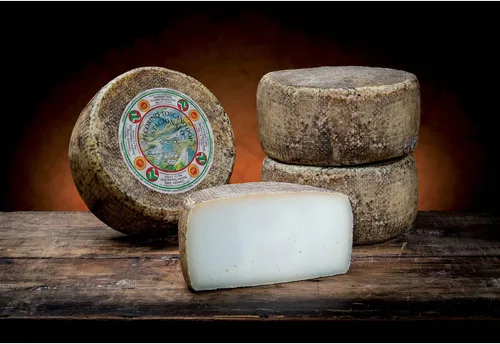 Vista 3 de Pecorino Toscano DOP - Queso de oveja añejado - Rueda entera 4.2 lbs / Kg. 1.8