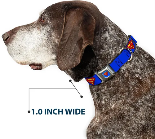 Vista 6 de Buckle-Down Collar de perro, hebilla de cinturón de seguridad, escudo