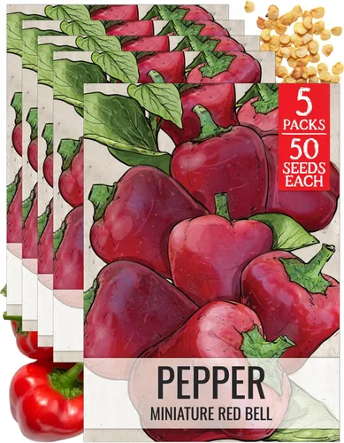 Vista 40 de Seed Needs - Semillas de pimiento arcoíris para plantar verduras, 1 paquete